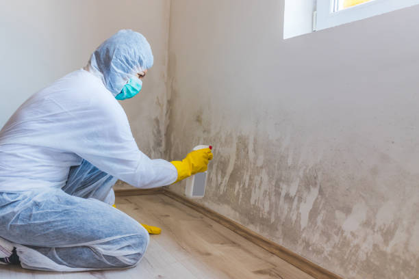 Mold Remediation specialist working in Livingston