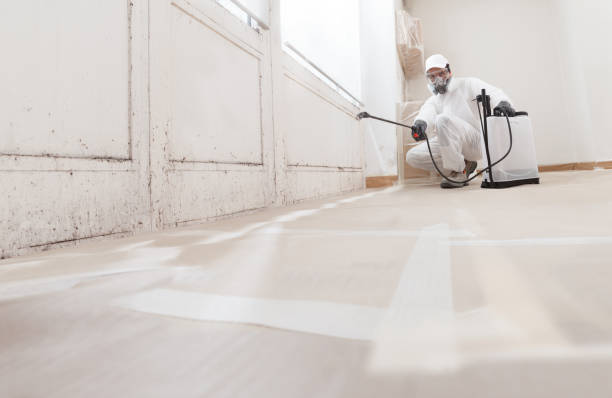 Post-remediation clearance in Livingston