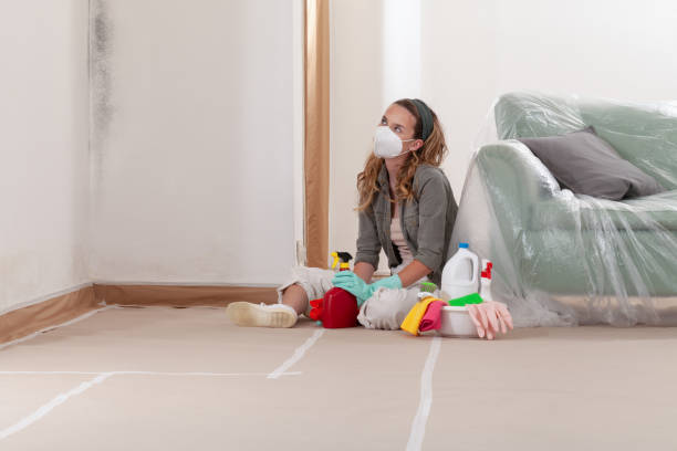 Mold Removal service in Livingston